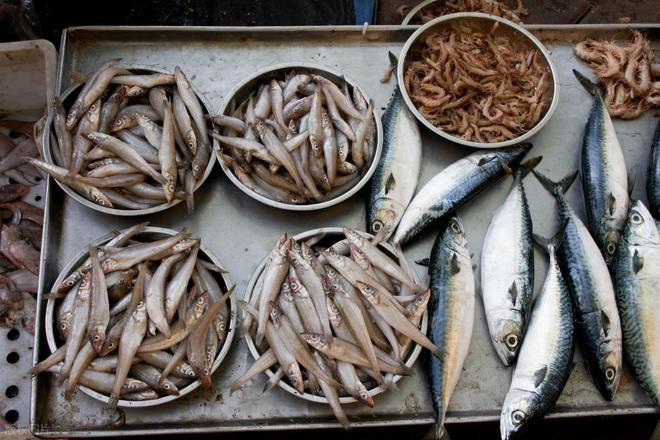 4 Lọai cá dễ tích tụ kim lọai nặng mà người bán cũng ít dám ăn - Ảnh 5. 4 Lọai cá dễ tích tụ kim lọai nặng mà người bán cũng ít dám ăn - Ảnh 5.