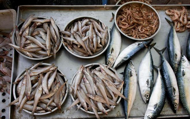 4 Lọai cá dễ tích tụ kim lọai nặng mà người bán cũng ít dám ăn - Ảnh 1.