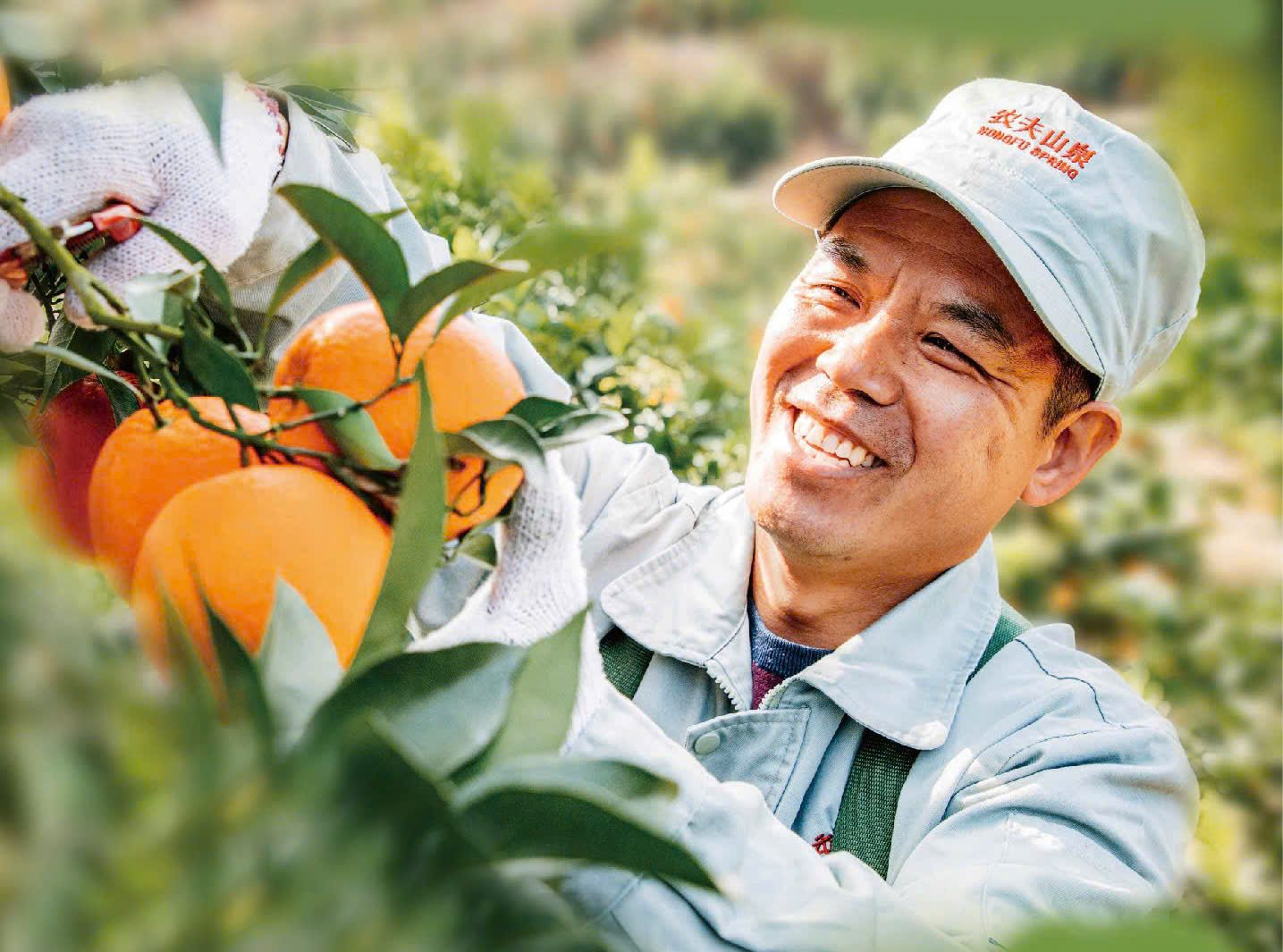 Cam 17.5° Nongfu Spring nổi tiếng tại Trung Quốc sắp về Việt Nam - Ảnh 1. Cam 17.5° Nongfu Spring nổi tiếng tại Trung Quốc sắp về Việt Nam - Ảnh 1.