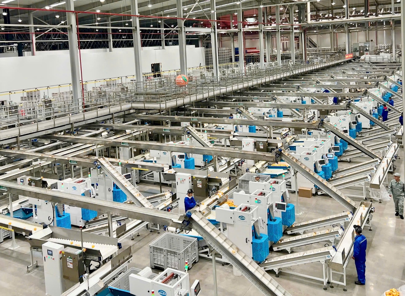 Cam 17.5° Nongfu Spring nổi tiếng tại Trung Quốc sắp về Việt Nam - Ảnh 2. Cam 17.5° Nongfu Spring nổi tiếng tại Trung Quốc sắp về Việt Nam - Ảnh 2.