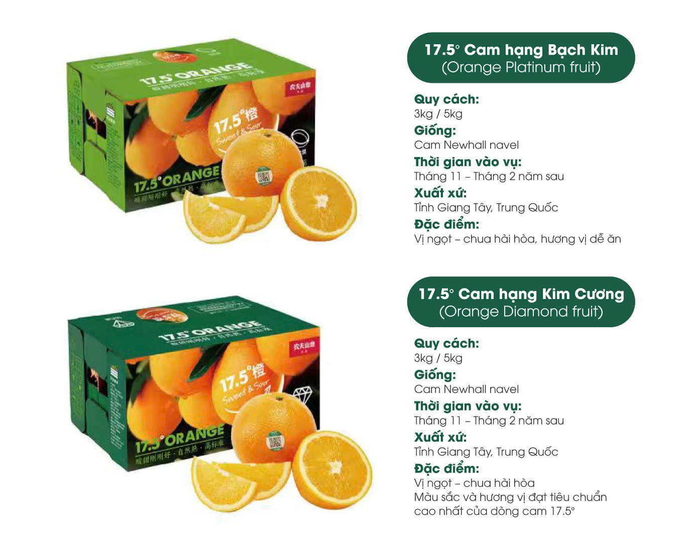 Cam 17.5° Nongfu Spring nổi tiếng tại Trung Quốc sắp về Việt Nam - Ảnh 3. Cam 17.5° Nongfu Spring nổi tiếng tại Trung Quốc sắp về Việt Nam - Ảnh 3.