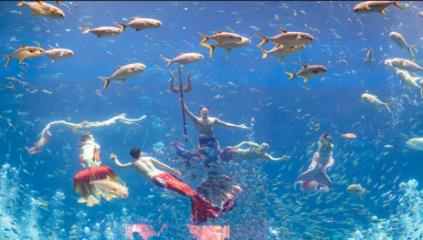 Bắc đảo Phú Quốc mùa đẹp nhất năm đánh thức mọi giác quan du khách - Ảnh 7. Bắc đảo Phú Quốc mùa đẹp nhất năm đánh thức mọi giác quan du khách - Ảnh 7.