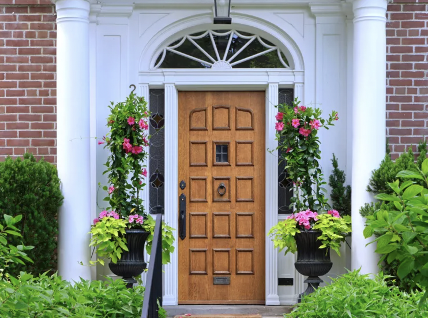 9 Lọai cây trồng trước nhà giúp không gian sống thêm xanh mát và thu hút - Ảnh 3. 9 Lọai cây trồng trước nhà giúp không gian sống thêm xanh mát và thu hút - Ảnh 3.