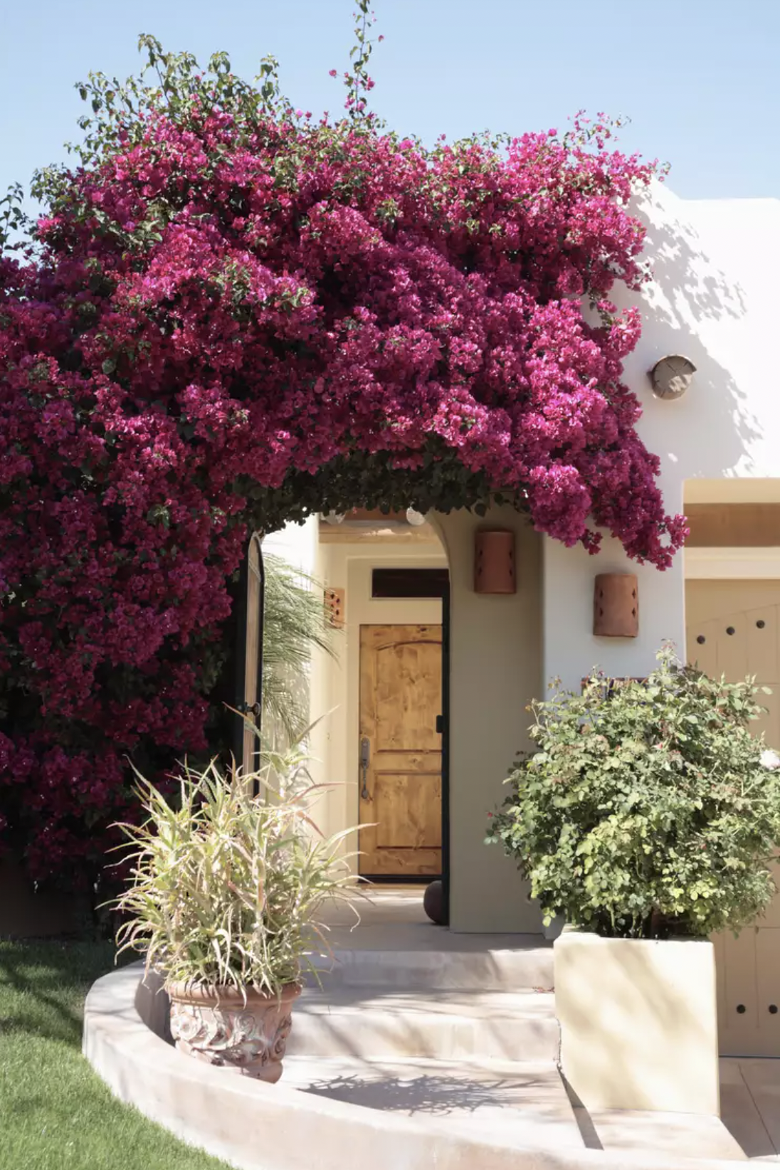 9 Lọai cây trồng trước nhà giúp không gian sống thêm xanh mát và thu hút - Ảnh 5. 9 Lọai cây trồng trước nhà giúp không gian sống thêm xanh mát và thu hút - Ảnh 5.