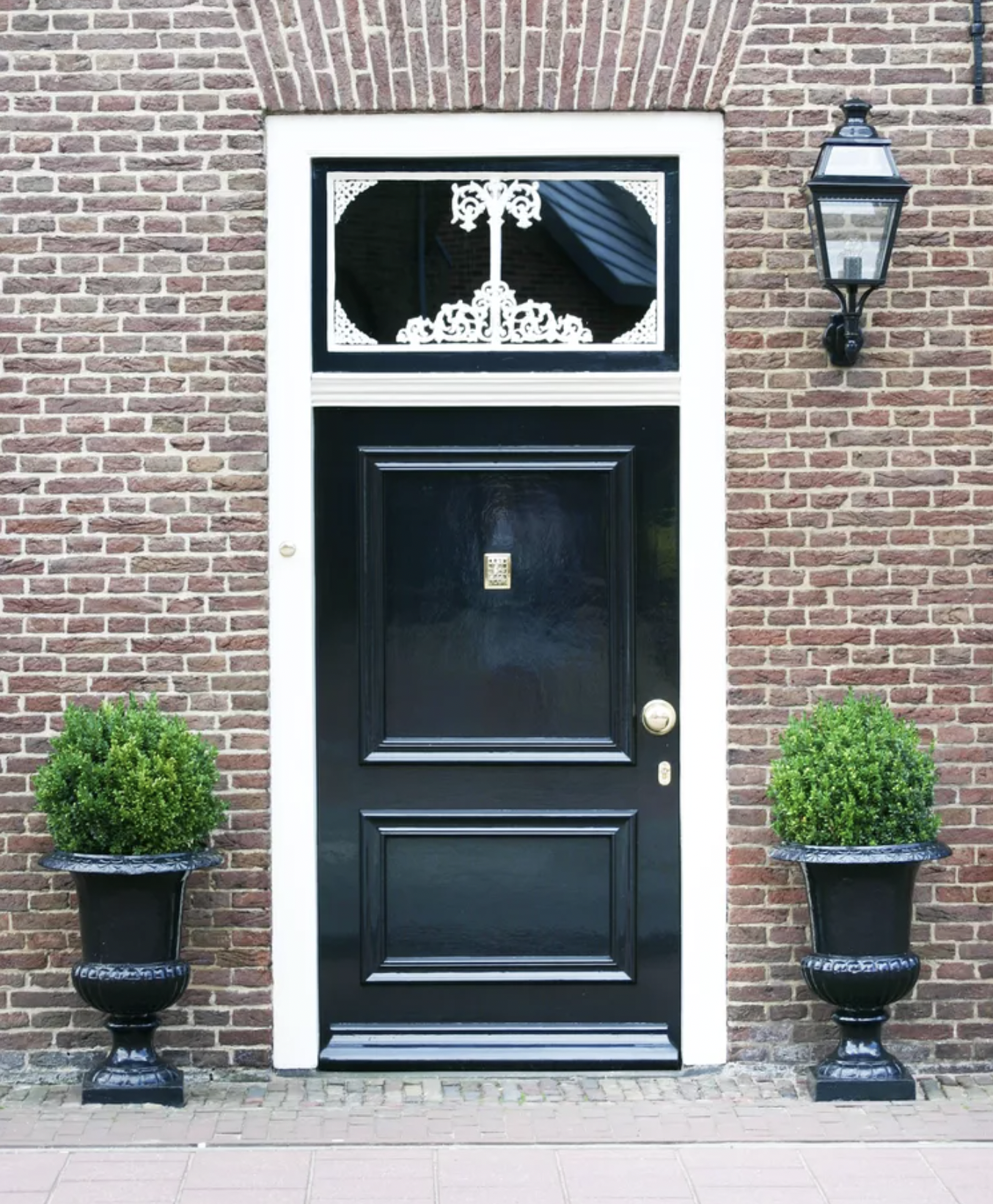 9 Lọai cây trồng trước nhà giúp không gian sống thêm xanh mát và thu hút - Ảnh 6. 9 Lọai cây trồng trước nhà giúp không gian sống thêm xanh mát và thu hút - Ảnh 6.