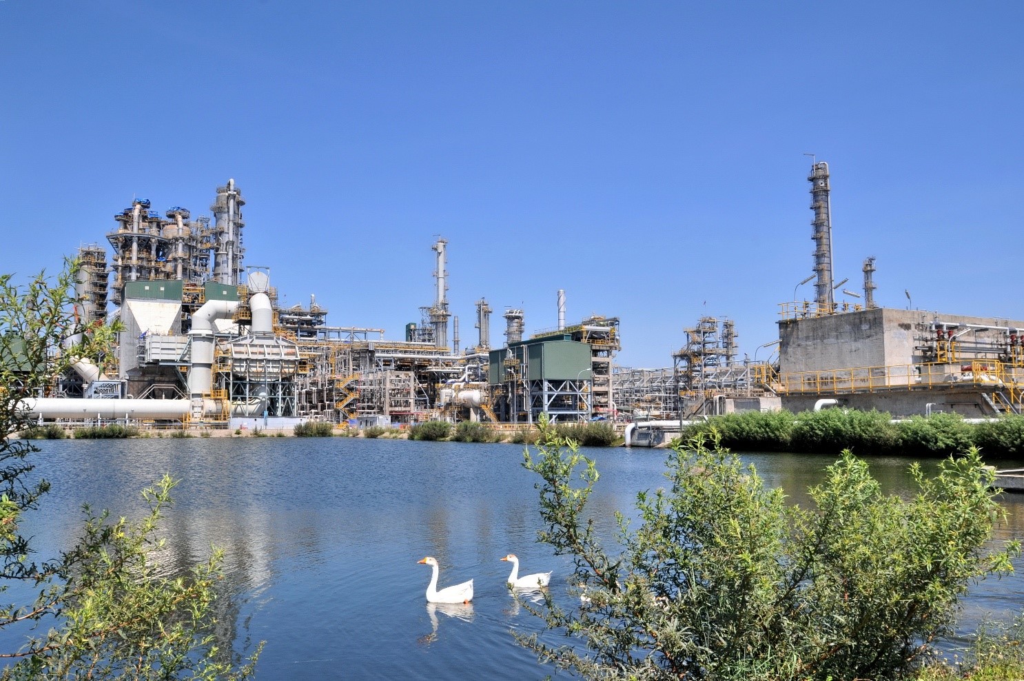 Doanh thu 2025 của nhà máy lọc dầu Dung Quất ước tính hơn 140 . 000 Tỷ đồng - Ảnh 3. Doanh thu 2025 của nhà máy lọc dầu Dung Quất ước tính hơn 140 . 000 Tỷ đồng - Ảnh 3.