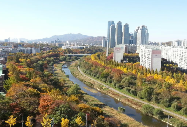 Hồi sinh Cheonggyecheon: Câu chuyện thành công cải tạo sông suối tại Hàn Quốc - Ảnh 3. Hồi sinh Cheonggyecheon: Câu chuyện thành công cải tạo sông suối tại Hàn Quốc - Ảnh 3.