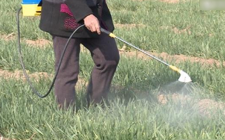 9 Lọai rau dễ tồn dư thuốc trừ sâu và cách rửa an toàn cho sức khỏe - Ảnh 1.