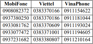 Khách hàng Vietcombank, BIDV, VietinBank, VPBank, BVBank,... lưu ý: Những số điện thoại sau là chính chủ ngân hàng, không phải lừa đảo - Ảnh 2.