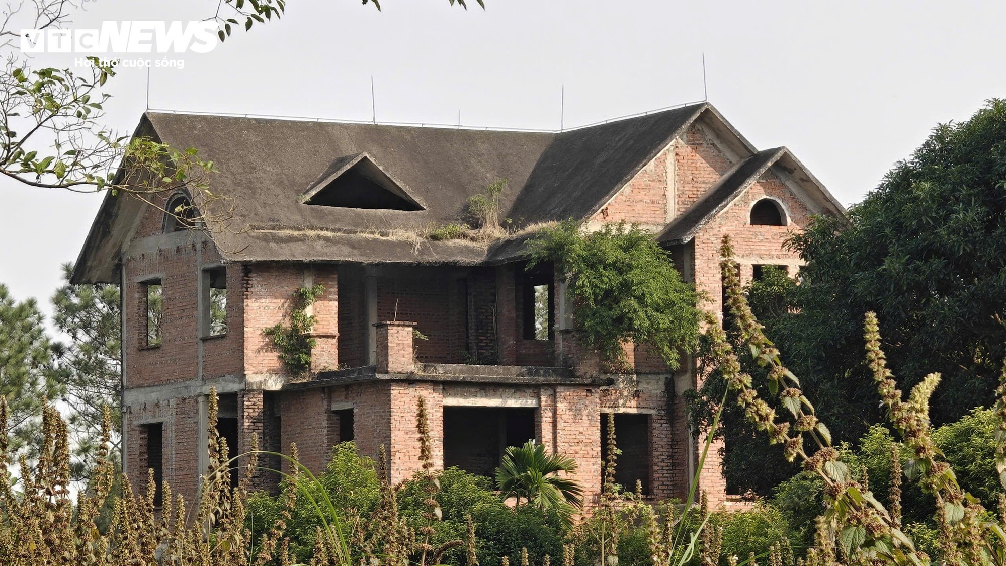 Biệt thự hoang vắng chục tỷ tại khu đô thị Nam Từ Sơn Bắc Ninh - Ảnh 6. Biệt thự hoang vắng chục tỷ tại khu đô thị Nam Từ Sơn Bắc Ninh - Ảnh 6.