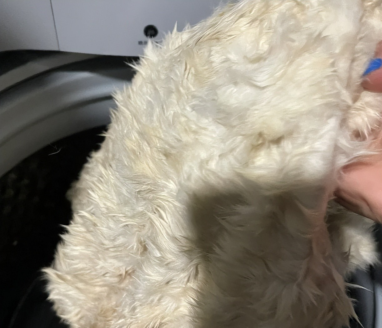 6 Sai lầm khi dùng máy giặt khiến Quần áo và thiết bị nhanh hỏng - Ảnh 6. 6 Sai lầm khi dùng máy giặt khiến Quần áo và thiết bị nhanh hỏng - Ảnh 6.