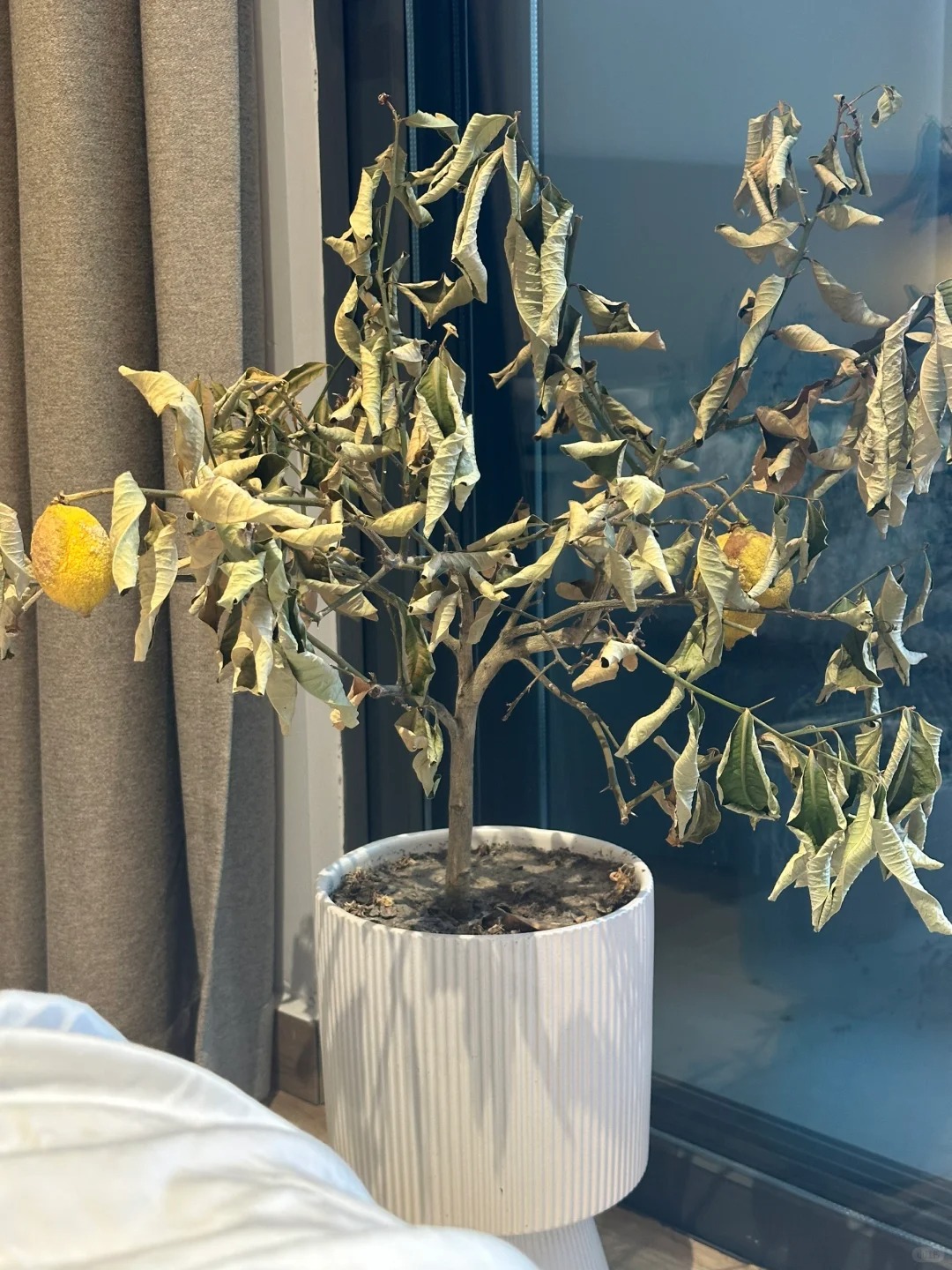 Dọn dẹp nhà cửa để thu hút may mắn và năng lượng tích cực - Ảnh 2. Dọn dẹp nhà cửa để thu hút may mắn và năng lượng tích cực - Ảnh 2.