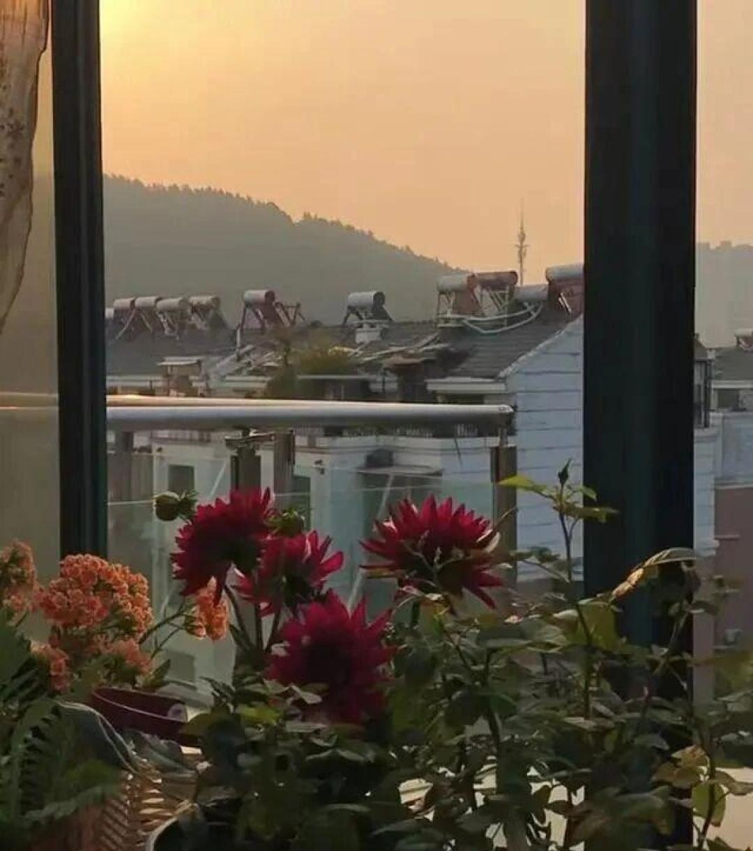 Cụ bà 92 tuổi sống chậm Giữa Cuộc đời hiện đại , tự chăm sóc mình thanh thản - Ảnh 6. Cụ bà 92 tuổi sống chậm Giữa Cuộc đời hiện đại , tự chăm sóc mình thanh thản - Ảnh 6.