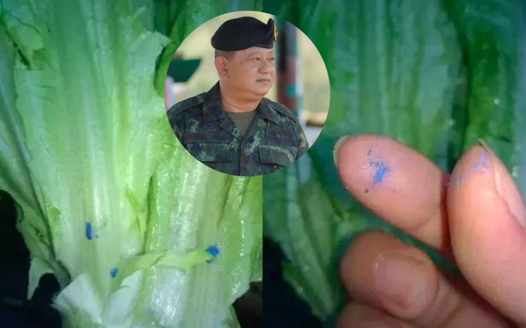 6 Thói quen hại gan bạn cần tránh để bảo vệ sức khỏe lâu dài - Ảnh 1.