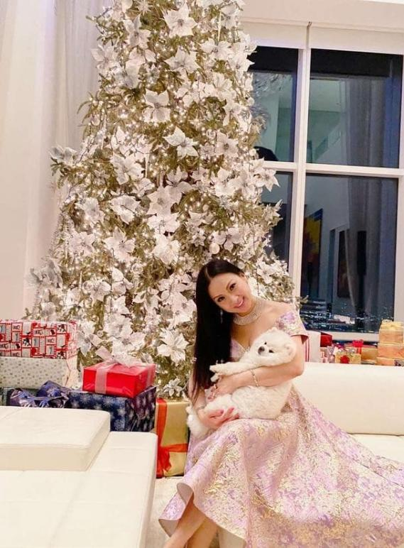 Ca sĩ Việt giàu nhất thế giới sở hữu penthouse 2 . 600 Tỷ với view triệu đô tại New York - Ảnh 6. Ca sĩ Việt giàu nhất thế giới sở hữu penthouse 2 . 600 Tỷ với view triệu đô tại New York - Ảnh 6.