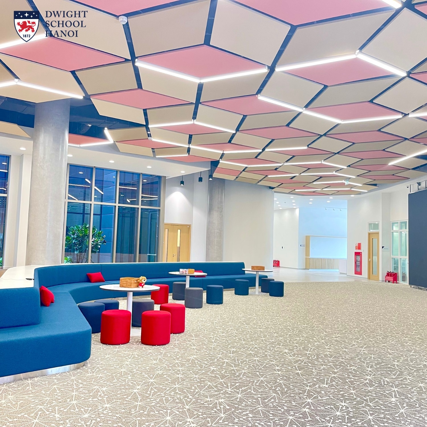 Trường quốc tế tại Việt Nam hợp tác Manchester City với học phí gần 1 tỷ đồng / năm - Ảnh 5.