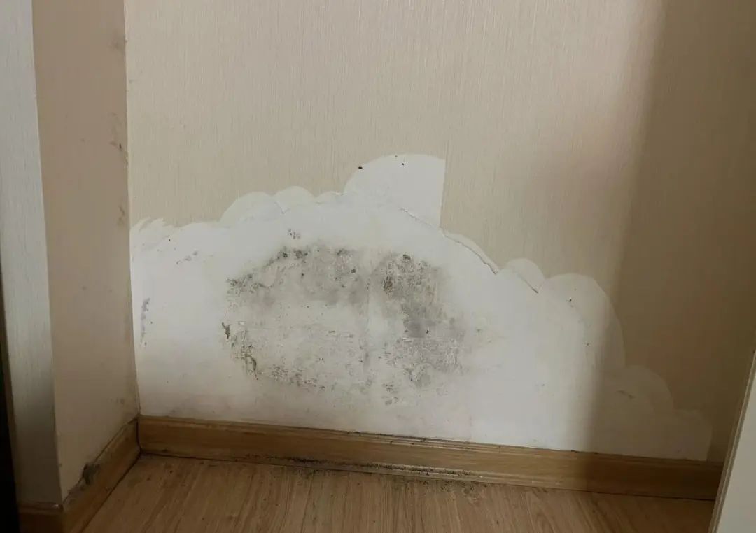 Tôi muốn mua căn hướng Tây, bố mẹ nhất quyết chọn hướng Đông: Nhưng vì 1 câu nói đã khiến cả nhà tôi đổi ý- Ảnh 3. Tôi muốn mua căn hướng Tây, bố mẹ nhất quyết chọn hướng Đông: Nhưng vì 1 câu nói đã khiến cả nhà tôi đổi ý- Ảnh 3.