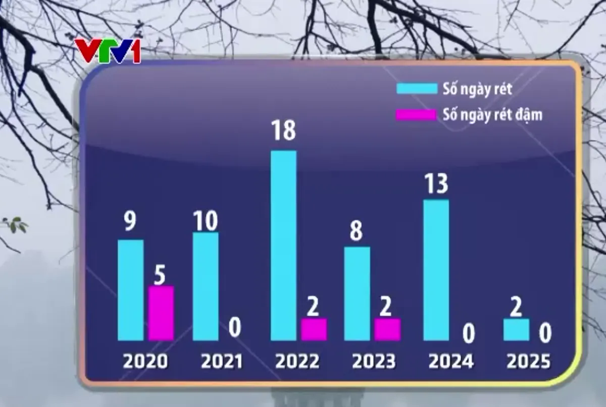 Mùa đông khác biệt: Áo ấm ế, đào Tết lo - Ảnh 1.