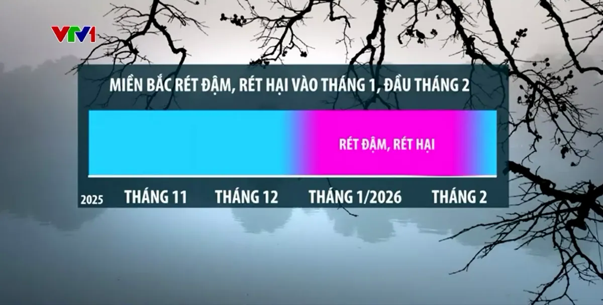 Mùa đông khác biệt: Áo ấm ế, đào Tết lo - Ảnh 2.