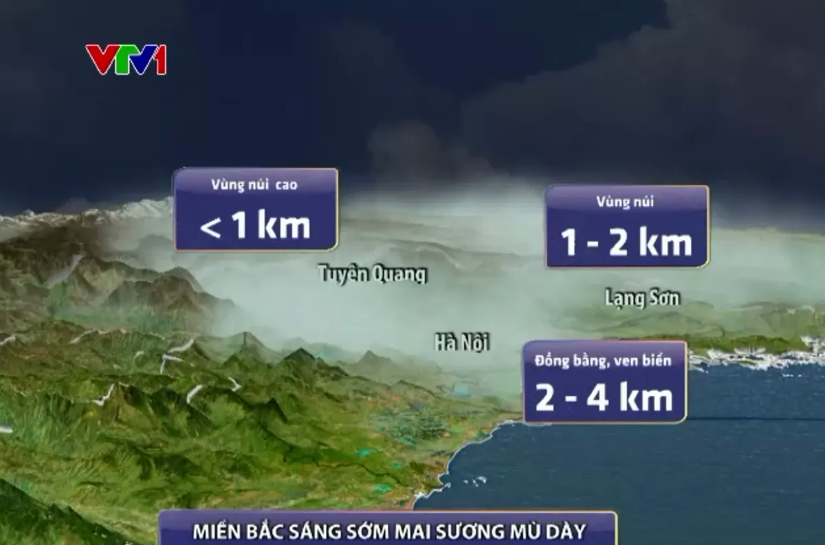 Mùa đông khác biệt: Áo ấm ế, đào Tết lo - Ảnh 3.