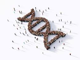 Gen thiên tài không phải yếu tố quyết định sự khác biệt của con người hiện đại - Ảnh 2. Gen thiên tài không phải yếu tố quyết định sự khác biệt của con người hiện đại - Ảnh 2.