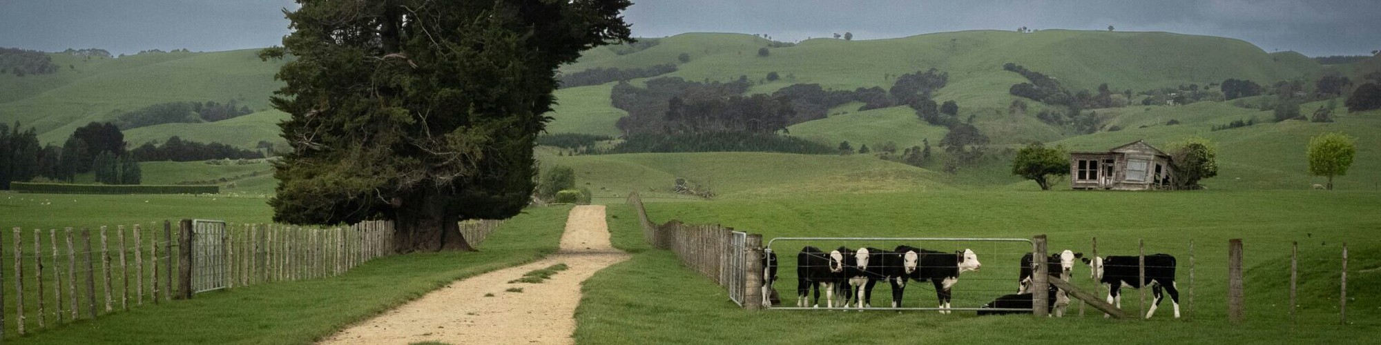Công nghệ hồi sinh sinh vật: Những câu chuyện khoa học nổi bật năm 2025 - Ảnh 2.