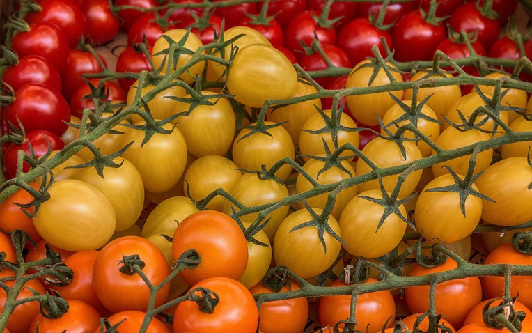 Cà chua chống ung thư và những cách ăn đúng , tránh tự hại sức khỏe - Ảnh 1.