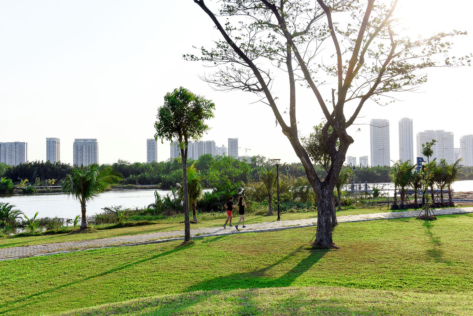 Chuyên gia gợi mở giải pháp biến không gian công cộng thành mỏ vàng kinh tế TP . HCM - Ảnh 1.