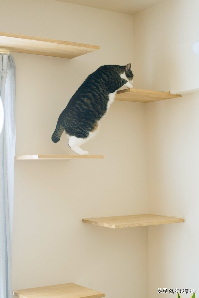 Ở tuổi 38 sống một mình trong căn hộ 47m², cô gái gây “choáng” vì nhà quá sạch - cuộc sống thư thái bất ngờ- Ảnh 5.