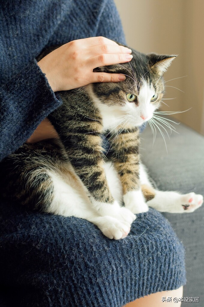 Ở tuổi 38 sống một mình trong căn hộ 47m², cô gái gây “choáng” vì nhà quá sạch - cuộc sống thư thái bất ngờ- Ảnh 4.