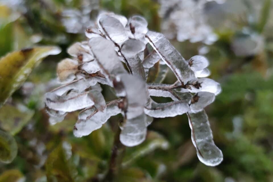 Ngoài Fansipan, đây là nơi lạnh không kém ở miền Bắc hôm nay: Cũng là núi, nhiều năm có băng giá, tuyết - Ảnh 10.