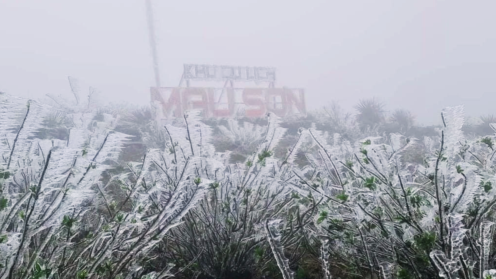 Ngoài Fansipan, đây là nơi lạnh không kém ở miền Bắc hôm nay: Cũng là núi, nhiều năm có băng giá, tuyết - Ảnh 8.