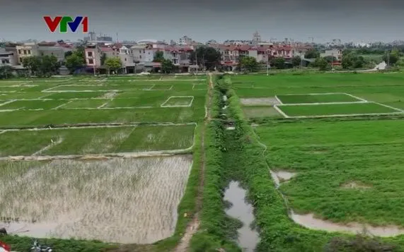 Siết phân lô bán nền từ đất nông nghiệp - Ảnh 1.