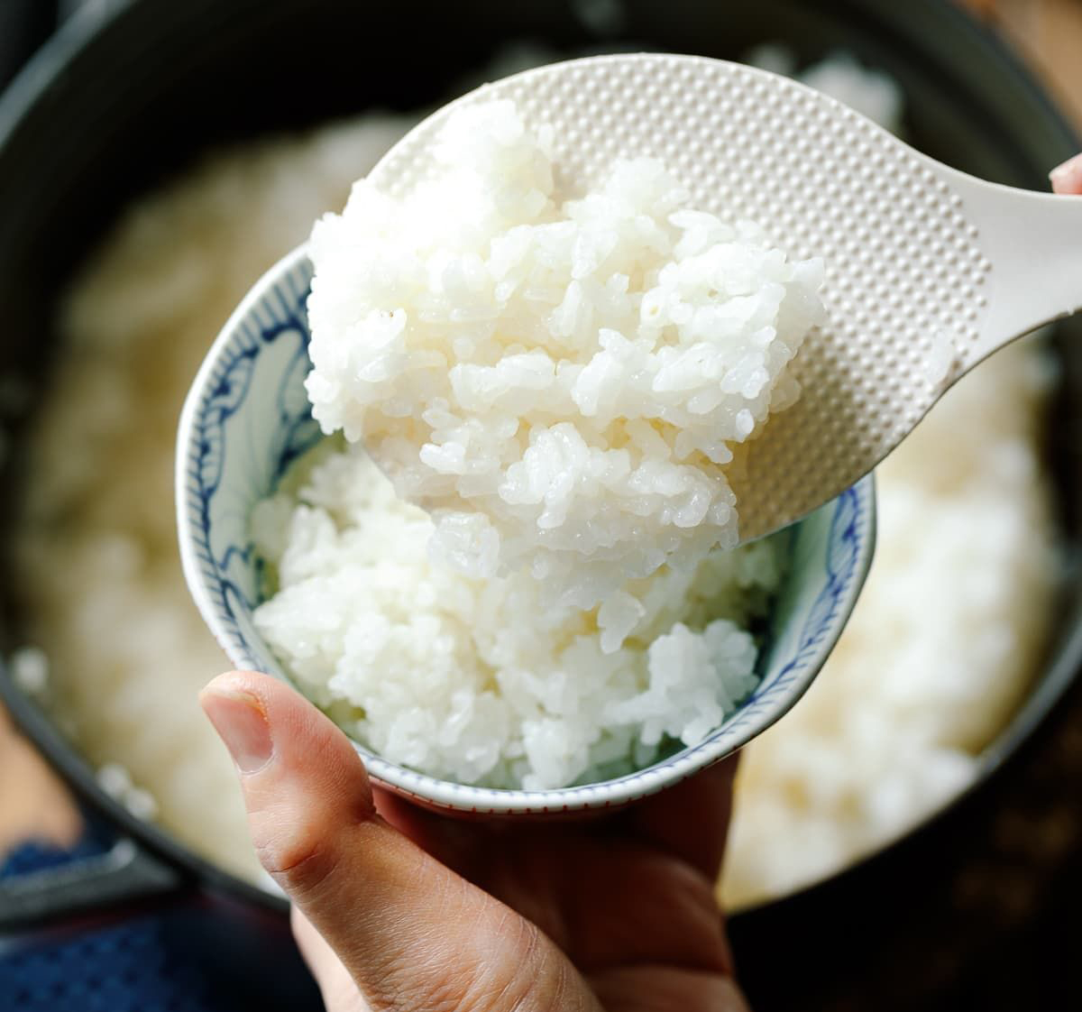 Nấu cơm bằng loại nước trắng đục này tốt gấp vạn lần nước lọc: Cơm ngon, dưỡng da, ngừa nhiều bệnh tật - Ảnh 1.