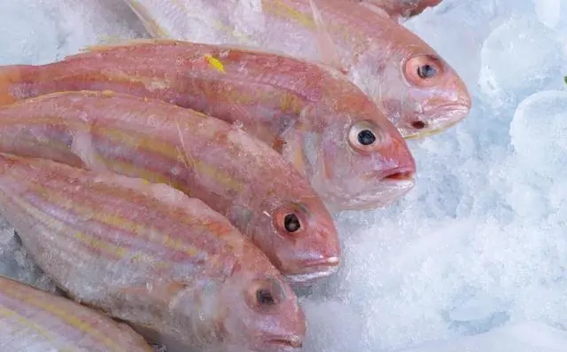 Ngày càng có nhiều người chết vì ung thư? Bác sĩ nhắc: Thà nhịn đói còn hơn ham ăn 4 loại cá này- Ảnh 1.