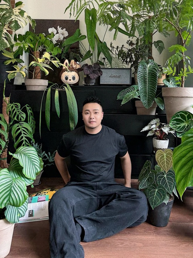 Mang rừng về phố với ban công xanh: Chàng trai 9x và bí kíp tạo góc chill triệu like - Ảnh 4. Mang rừng về phố với ban công xanh: Chàng trai 9x và bí kíp tạo góc chill triệu like - Ảnh 4.