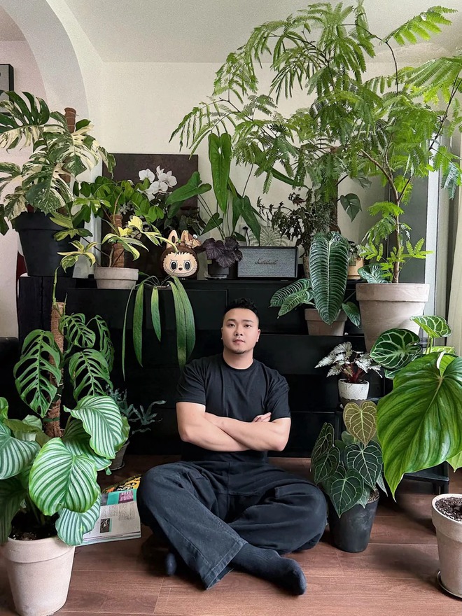 Mang rừng về phố với ban công xanh: Chàng trai 9x và bí kíp tạo góc chill triệu like - Ảnh 2. Mang rừng về phố với ban công xanh: Chàng trai 9x và bí kíp tạo góc chill triệu like - Ảnh 2.