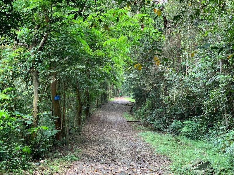 Nơi được ví như "tiểu Sa Pa" vừa lọt top "hàng đầu thế giới năm 2025": Gần Hà Nội, cách chưa đến 100km - Ảnh 4.