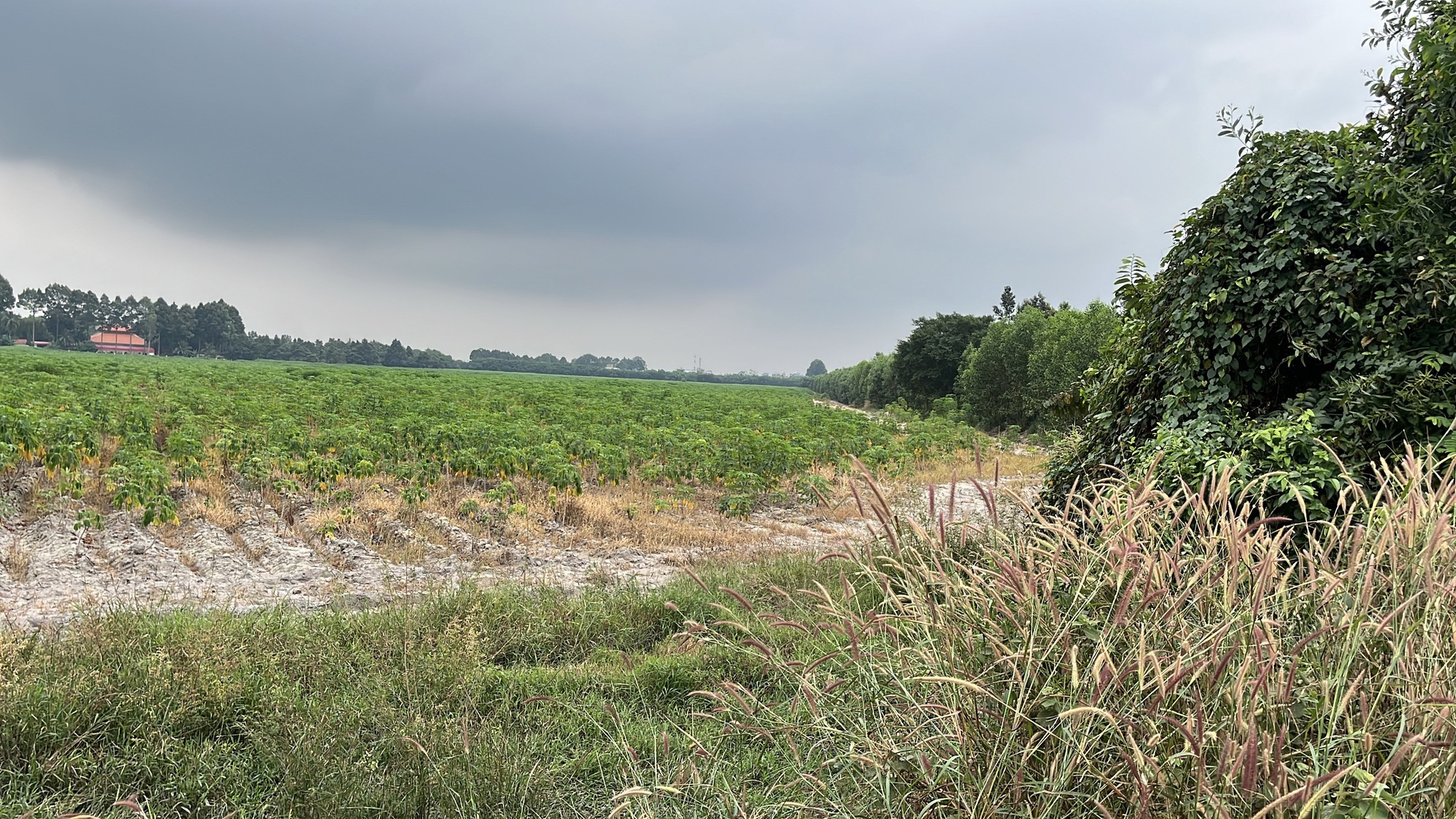 Cận cảnh khu đất Đồng Nai khởi điểm hơn 5 . 000 Tỉ Đồng cho dự án đô thị sinh thái - Ảnh 6. Cận cảnh khu đất Đồng Nai khởi điểm hơn 5 . 000 Tỉ Đồng cho dự án đô thị sinh thái - Ảnh 6.