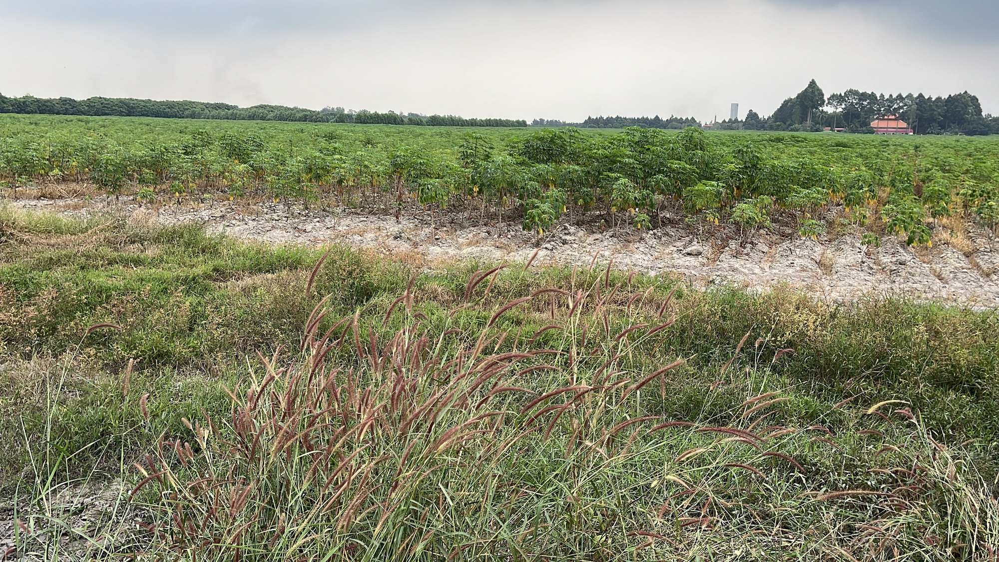 Cận cảnh khu đất Đồng Nai khởi điểm hơn 5 . 000 Tỉ Đồng cho dự án đô thị sinh thái - Ảnh 7. Cận cảnh khu đất Đồng Nai khởi điểm hơn 5 . 000 Tỉ Đồng cho dự án đô thị sinh thái - Ảnh 7.