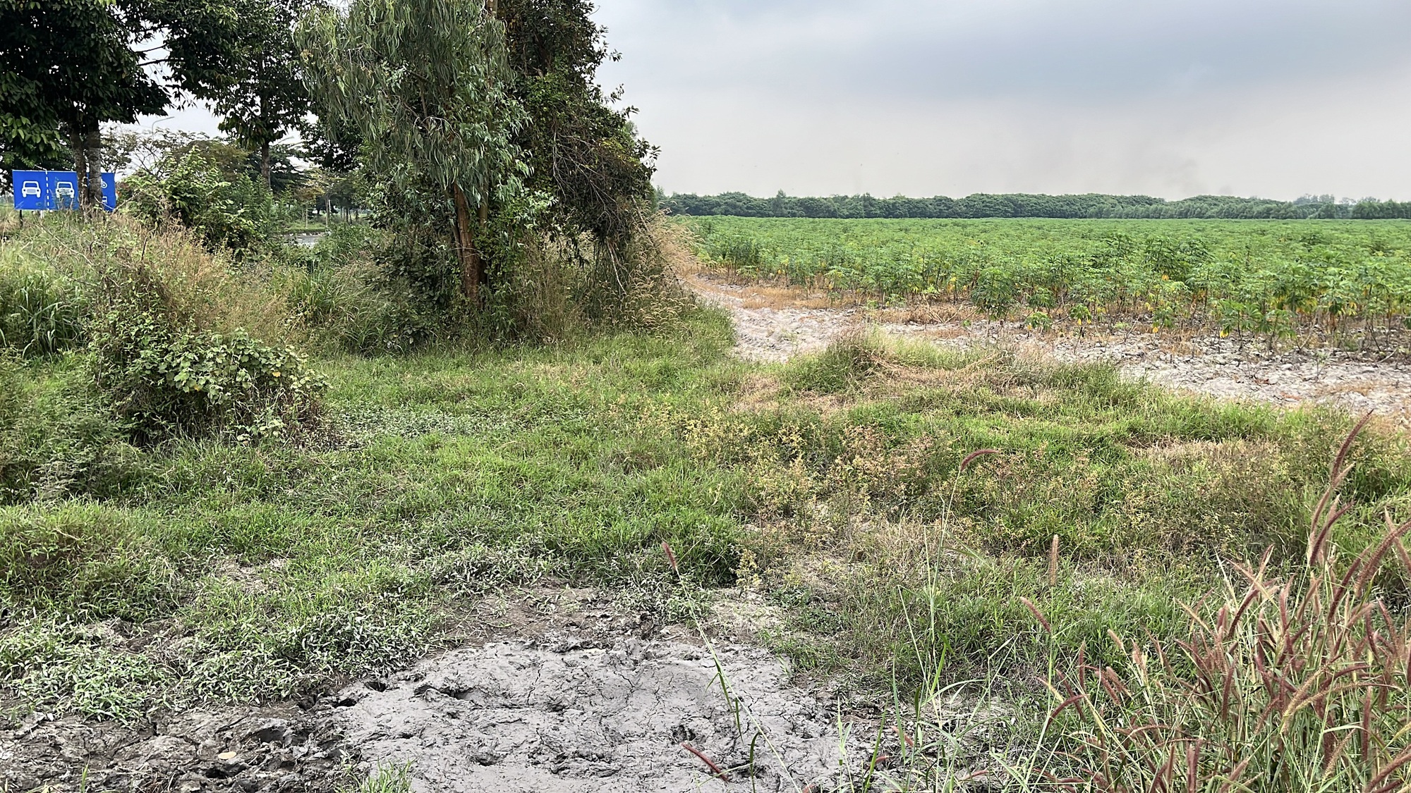 Cận cảnh khu đất Đồng Nai khởi điểm hơn 5 . 000 Tỉ Đồng cho dự án đô thị sinh thái - Ảnh 8. Cận cảnh khu đất Đồng Nai khởi điểm hơn 5 . 000 Tỉ Đồng cho dự án đô thị sinh thái - Ảnh 8.