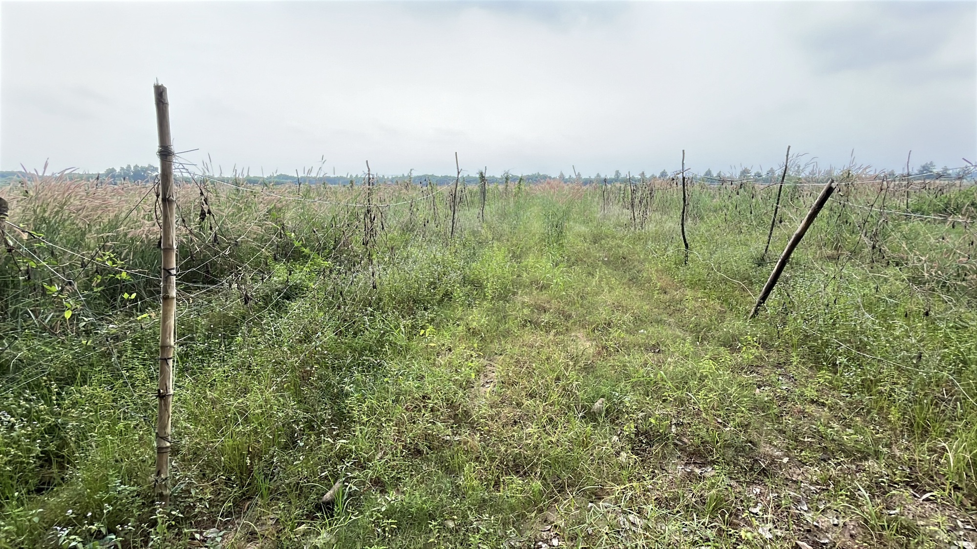 Cận cảnh khu đất Đồng Nai khởi điểm hơn 5 . 000 Tỉ Đồng cho dự án đô thị sinh thái - Ảnh 4. Cận cảnh khu đất Đồng Nai khởi điểm hơn 5 . 000 Tỉ Đồng cho dự án đô thị sinh thái - Ảnh 4.