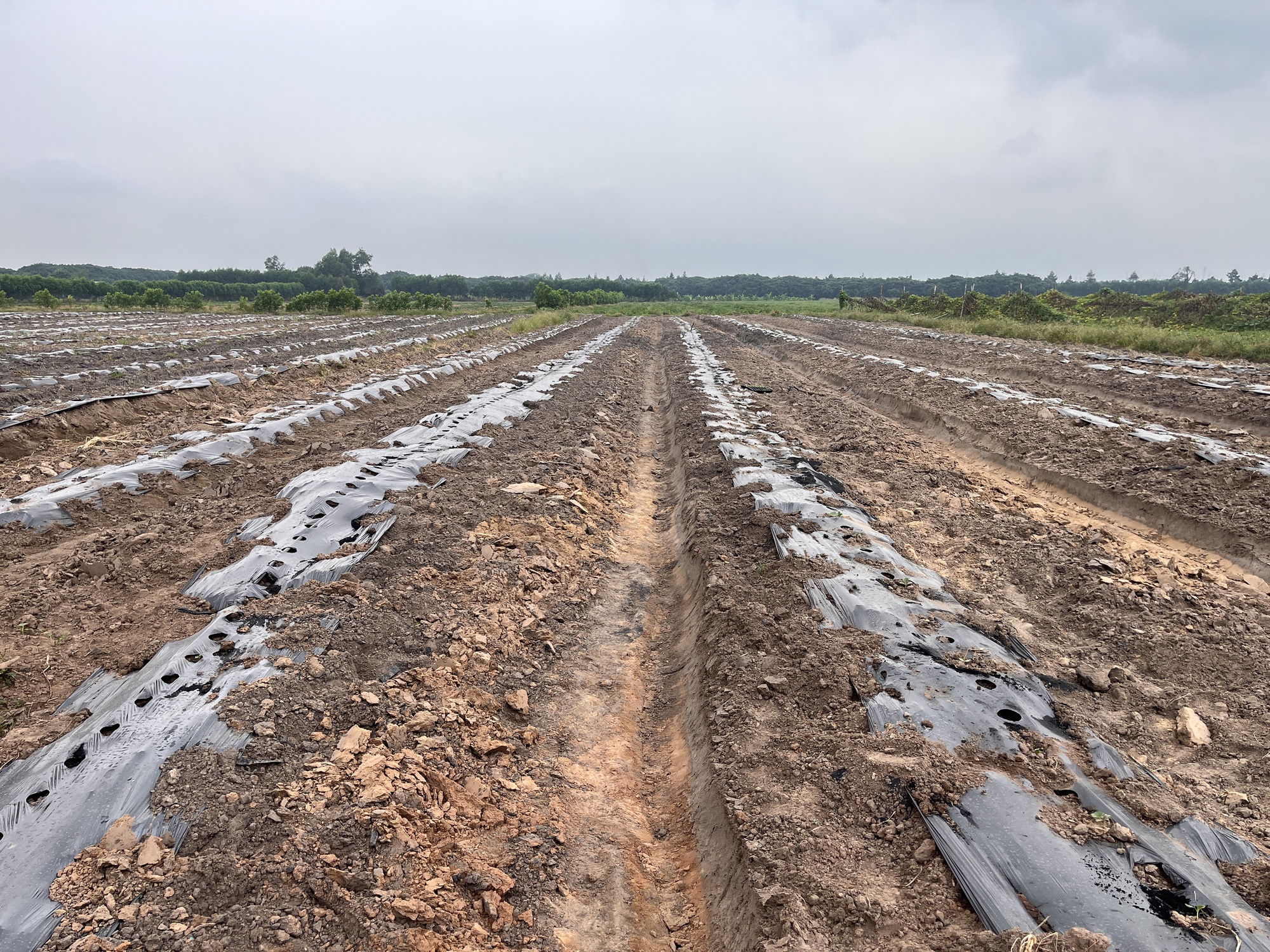 Cận cảnh khu đất Đồng Nai khởi điểm hơn 5 . 000 Tỉ Đồng cho dự án đô thị sinh thái - Ảnh 12. Cận cảnh khu đất Đồng Nai khởi điểm hơn 5 . 000 Tỉ Đồng cho dự án đô thị sinh thái - Ảnh 12.