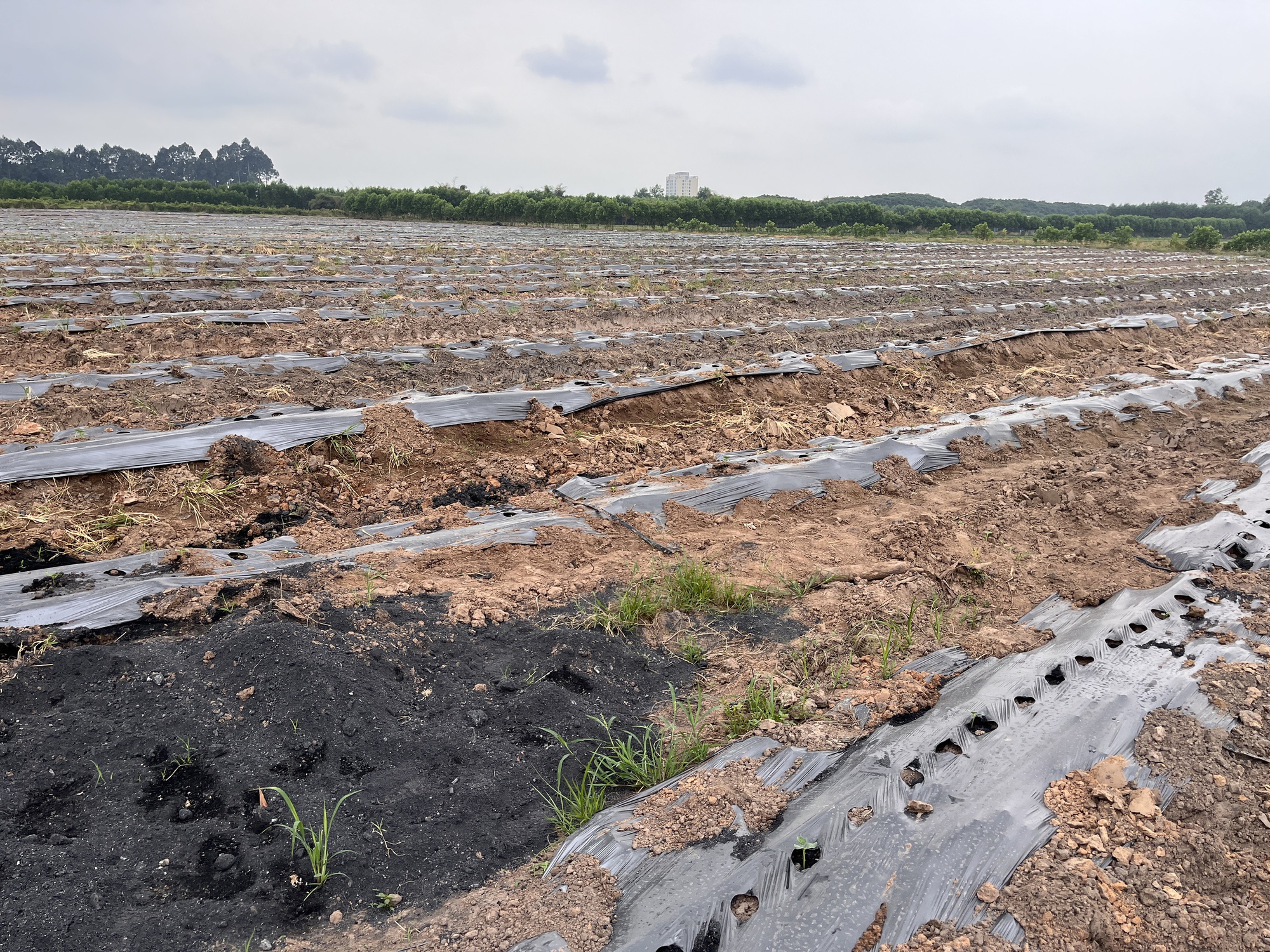 Cận cảnh khu đất Đồng Nai khởi điểm hơn 5 . 000 Tỉ Đồng cho dự án đô thị sinh thái - Ảnh 3. Cận cảnh khu đất Đồng Nai khởi điểm hơn 5 . 000 Tỉ Đồng cho dự án đô thị sinh thái - Ảnh 3.