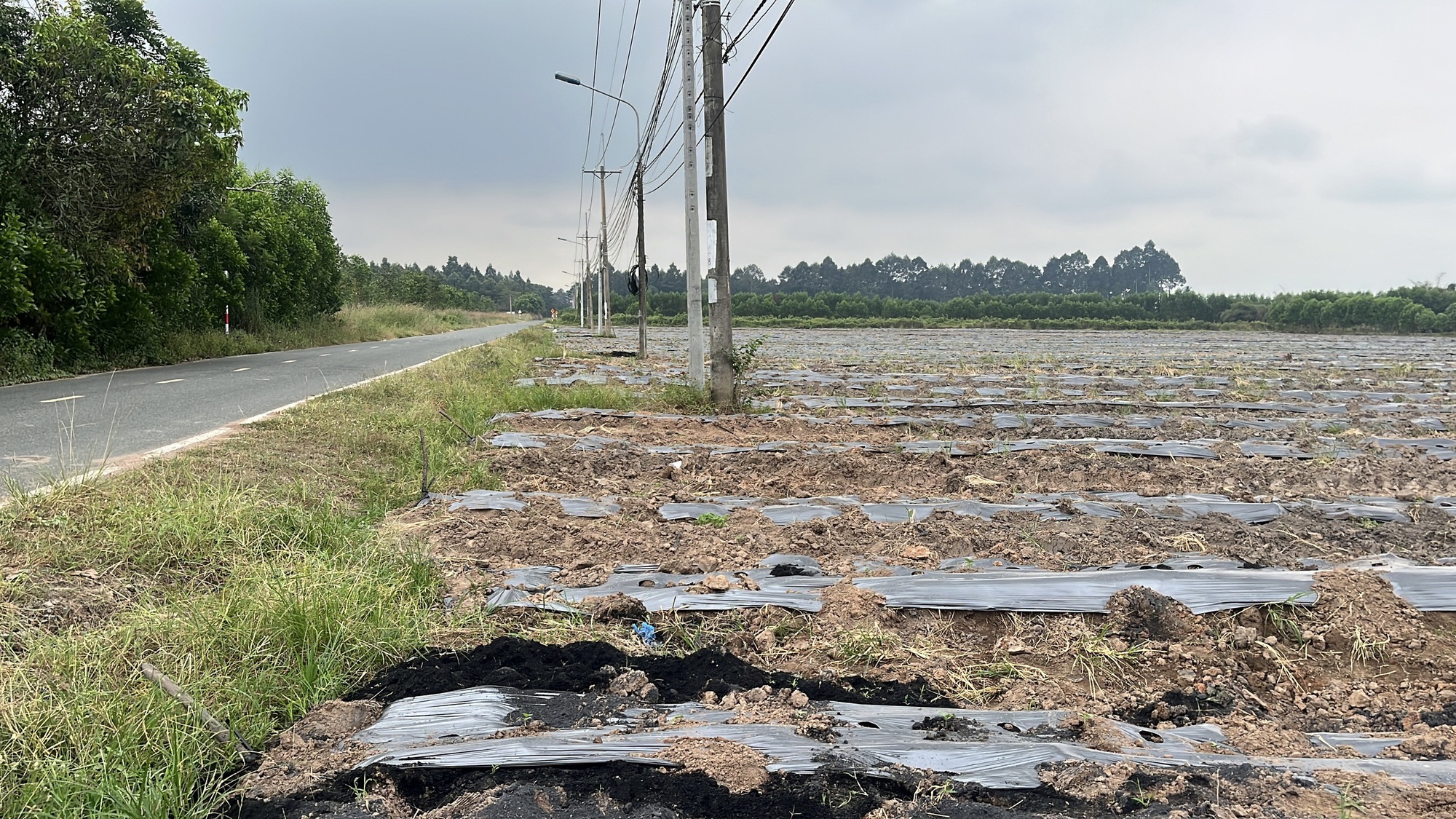 Cận cảnh khu đất Đồng Nai khởi điểm hơn 5 . 000 Tỉ Đồng cho dự án đô thị sinh thái - Ảnh 2. Cận cảnh khu đất Đồng Nai khởi điểm hơn 5 . 000 Tỉ Đồng cho dự án đô thị sinh thái - Ảnh 2.