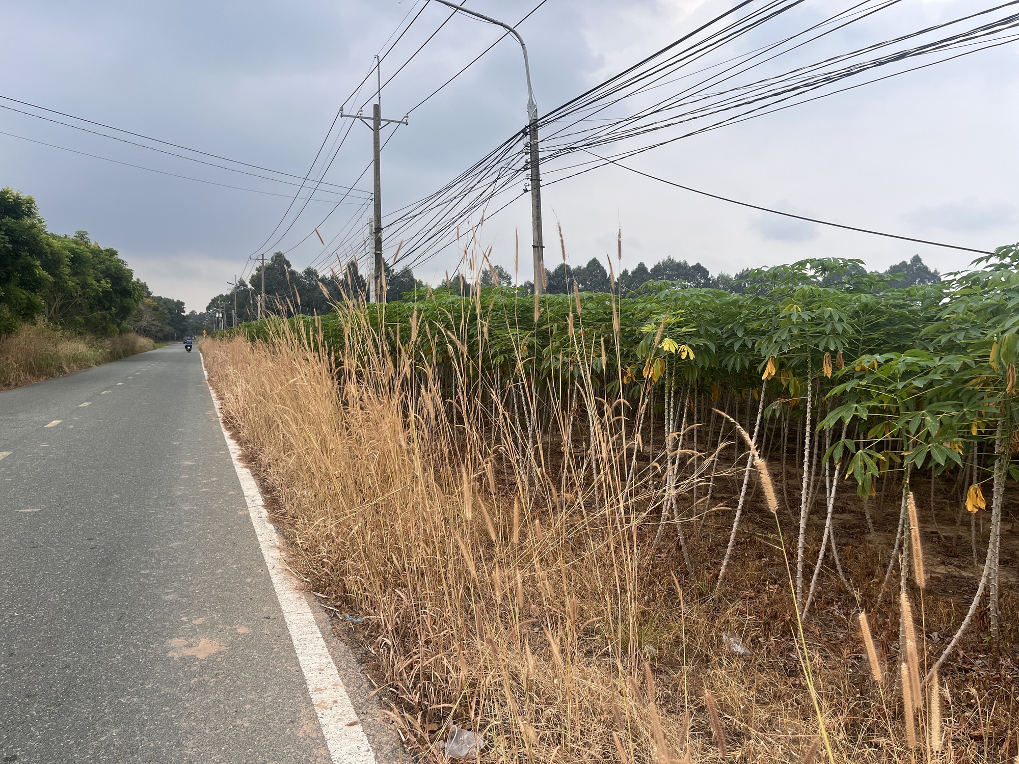 Cận cảnh khu đất Đồng Nai khởi điểm hơn 5 . 000 Tỉ Đồng cho dự án đô thị sinh thái - Ảnh 13. Cận cảnh khu đất Đồng Nai khởi điểm hơn 5 . 000 Tỉ Đồng cho dự án đô thị sinh thái - Ảnh 13.