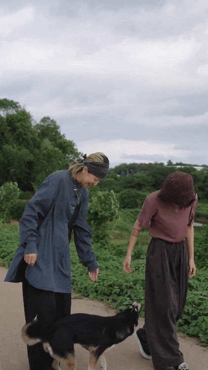 
Hai người phụ nữ 40  bỏ phố về quê: Chi 400 triệu cải tạo nhà cũ, tạo mô hình sống - làm - nghỉ bền vững và tự chủ tài chính- Ảnh 9.