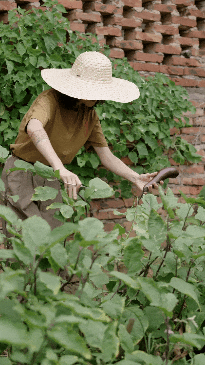 
Hai người phụ nữ 40  bỏ phố về quê: Chi 400 triệu cải tạo nhà cũ, tạo mô hình sống - làm - nghỉ bền vững và tự chủ tài chính- Ảnh 8.