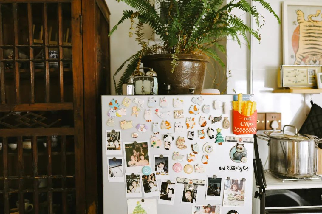 Giảm Chi phí sống: Thuê nhà nông thôn để tìm lại tự do tài chính - Ảnh 5.