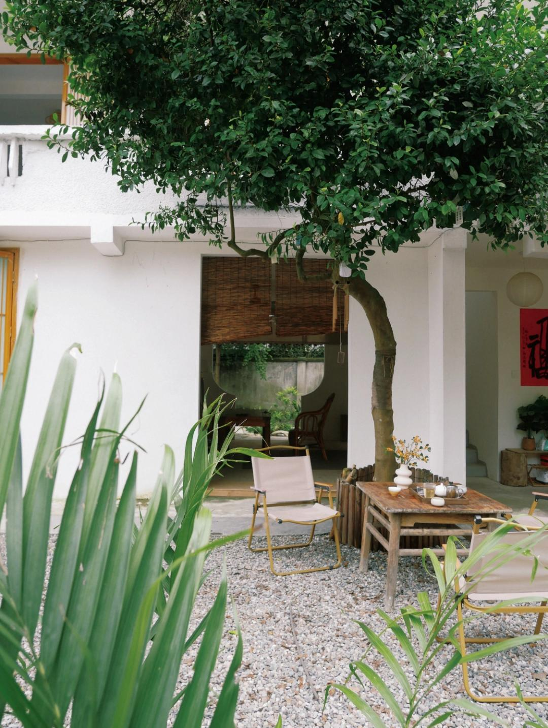 Giảm Chi phí sống: Thuê nhà nông thôn để tìm lại tự do tài chính - Ảnh 10.